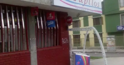 COMERCIAL PAPILOS COMERCIAL PAPILOS